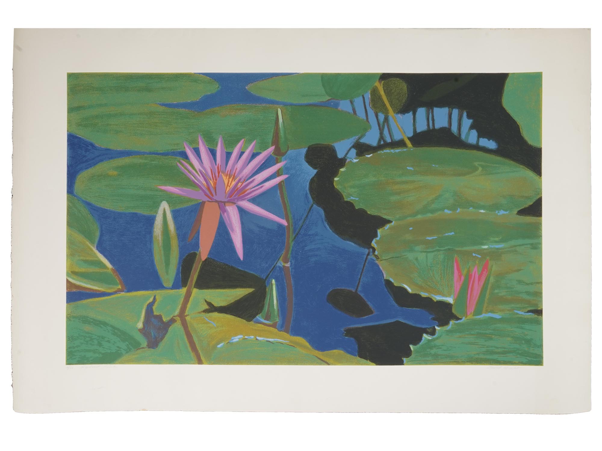 SERIGRAPH PRINT LOTUS FLOWERS SIGNED DAVID HINBO